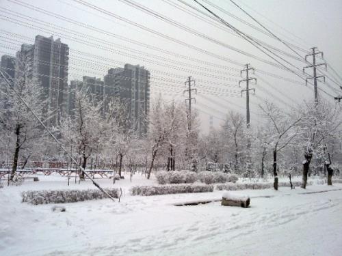 给女朋友套路情话(怎么在qq上把男朋友撩到硬)