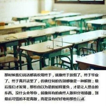 校园安全标语大全图片（小学校园走廊文化标语）