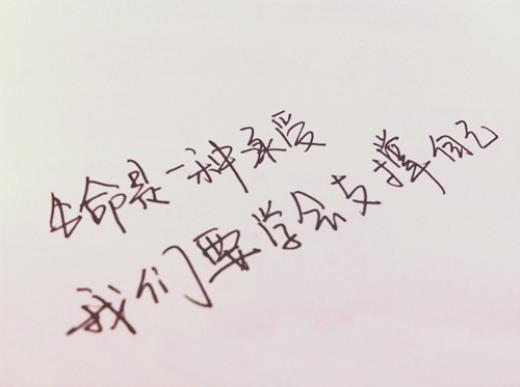 教师人生格言励志短句8字[20条]