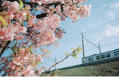 儿子高考祝福语怎么说（住别人家孩子高考顺利的话）