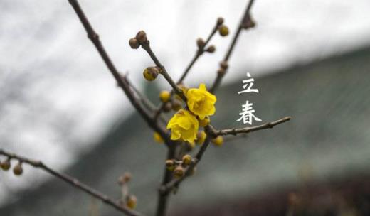 六一节笑话[30条] (写下美好祝愿：祝你儿童节快乐)