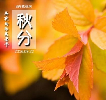 祝2023年新年祝福语(春节祝福短信10字)