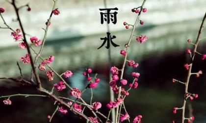 值得珍惜的友谊语句（友谊的句子经典语句）