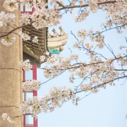 中秋节祝福语简短10字（一周岁生日祝福语精选）