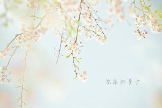 简短新婚贺语八字写红包(新婚祝福语八字押韵)